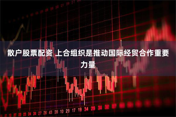 散户股票配资 上合组织是推动国际经贸合作重要力量